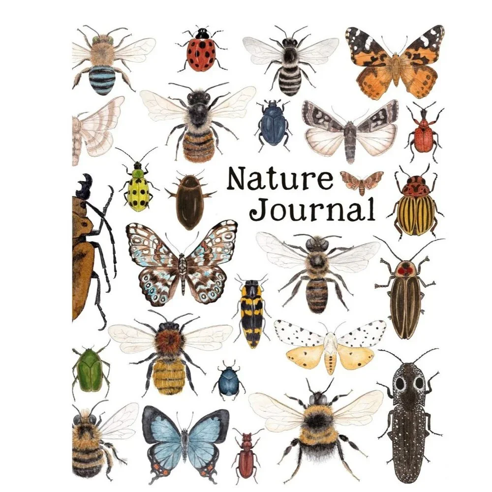 NEW Nature Journal Drawing Book Kids Workbook for Children Insects Insect Bees B